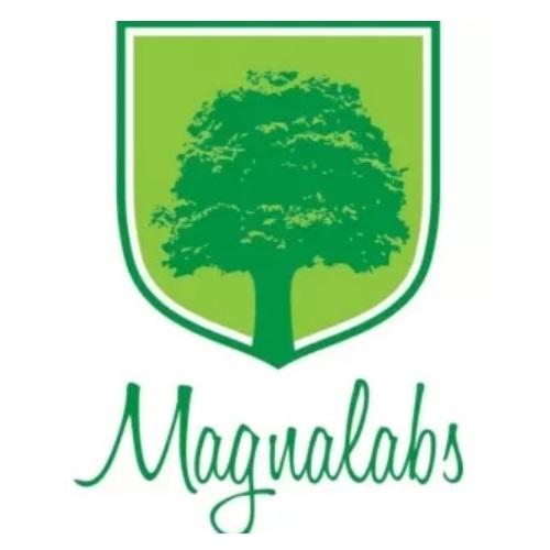 Magnalabs