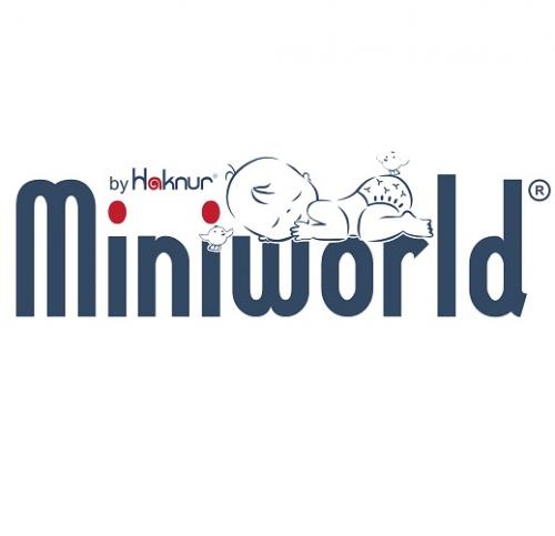 Miniworld