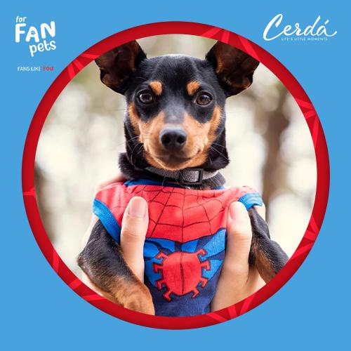 Cerda For fan pets - Dogs