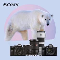 Sony Photo Promo 2024