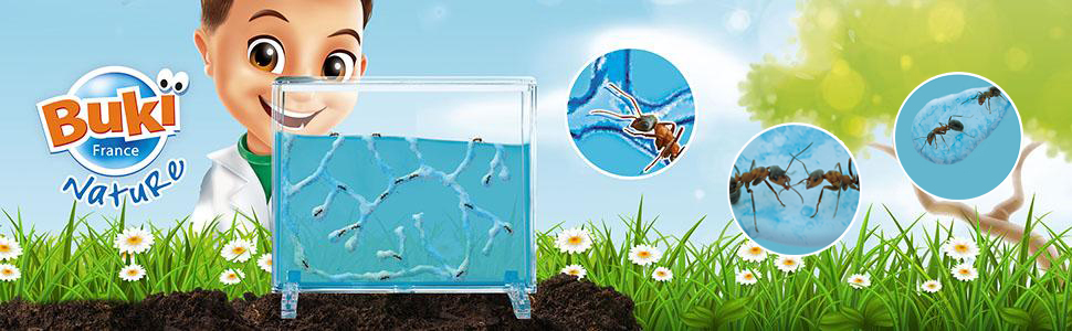  Детски комплект за ферма за мравки Buki Nature