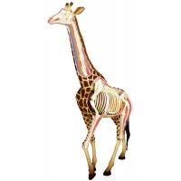 Сглобяем модел на жираф Revell - Giraffe Anatomy Model (02094)