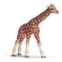 Фигурка Schleich от серията Дивия живот - Африка: Жираф - бебе