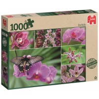 Пъзел Jumbo от 1000 части - Холандски орхидеи