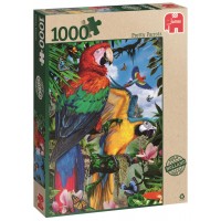 Пъзел Jumbo от 1000 части - Впечатляващи папагали