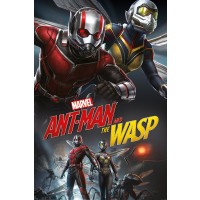 Макси плакат - Ant-Man and The Wasp (Dynamic)