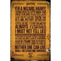 Макси плакат GB eye Movies: Harry Potter - Quotes