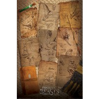 Макси плакат Pyramid - Fantastic Beasts (Notebook Pages)
