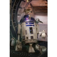 Макси плакат Pyramid - Star Wars The Last Jedi (R2-D2 & Porgs)