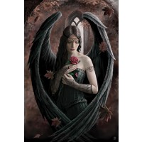Макси плакат - Anne Stokes (Angel Rose)