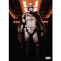 Метален постер Displate - Star Wars: Captain Phasma