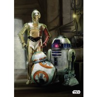 Метален постер Displate - Star Wars: Droids
