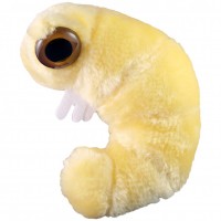 Плюшена играчка Книжен червей (Anobium punctatum)