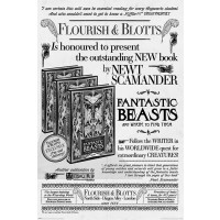 Макси плакат Pyramid - Fantastic Beasts: The Crimes Of Grindelwald - Flourish And Blotts