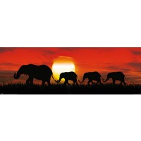 Слим плакат Pyramid - Sunset Elephants