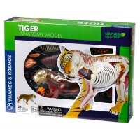 Детски комплект Kosmos -  Анатомия на тигър