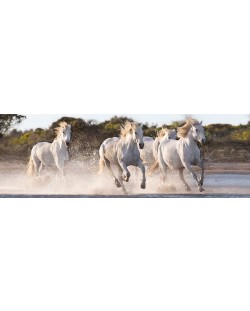 Панорамен пъзел Clementoni от 1000 части - Галопиращи коне
