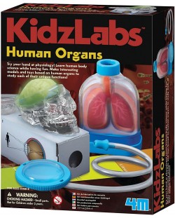 Образователен комплект 4M KidzLabs - Човешките органи