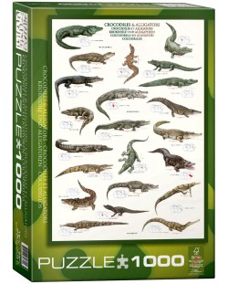 Пъзел Eurographics от 1000 части – Крокодили и Алигатори