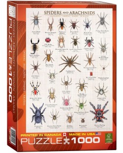 Пъзел Eurographics от 1000 части – Паяци и паякообразни