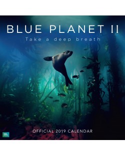 Стенен Календар Danilo 2019 - BBC Blue Planet