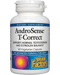 AndroSense T-Correct, 60 капсули, Natural Factors