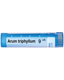 Arum triphyllum 9CH, Boiron