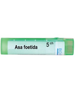 Asa foetida 5CH, Boiron