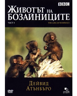 Животът на бозайниците - Част 4 (DVD)