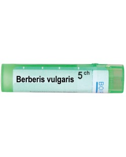 Berberis vulgaris 5CH, Boiron