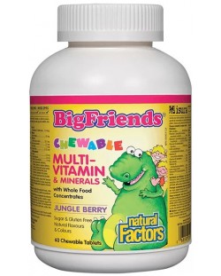 BigFriends Multi-Vitamin & Minerals, 60 дъвчащи таблетки, Natural Factors