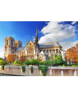 Пъзел Bluebird от 1000 части - Катедралата Норт Дам в Париж, Браян Кини