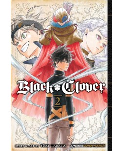 Black Clover, Vol. 2: Those Who Protect