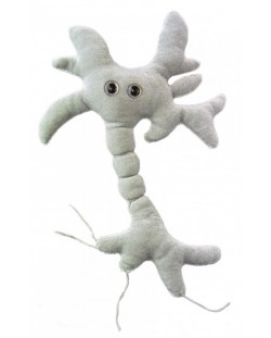 Плюшена играчка Мозъчна клетка (neuron)