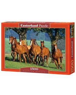 Пъзел Castorland от 1500 части - Препускащи коне