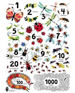 Числа с буболечки (цветен плакат)