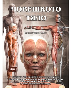 Човешкото тяло. Илюстрован атлас