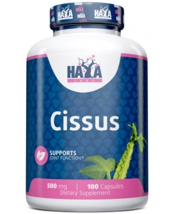 Cissus, 500 mg, 100 капсули, Haya Labs