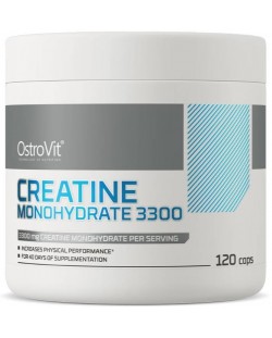 Creatine Monohydrate 3300, 120 капсули, OstroVit