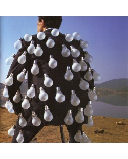 Pink Floyd - Delicate Sound Of Thunder (2 CD)