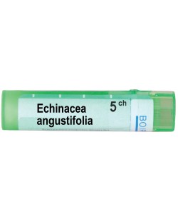 Echinacea angustifolia 5CH, Boiron