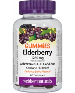 Elderberry + Vitamin C, D3 and Zinc, 60 таблетки, Webber Naturals