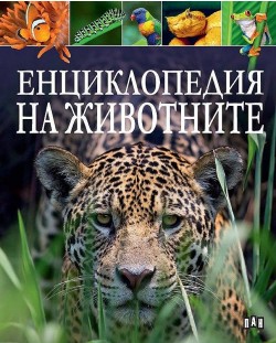 Енциклопедия на животните (тъмносиня корица) - Пан