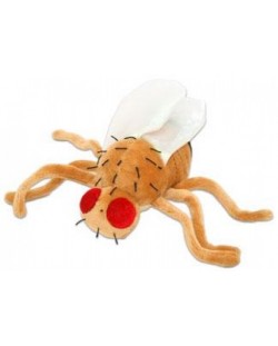 Плюшена играчка Плодова мушица (Drosophila Melanogaster)