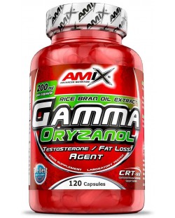 Gamma Oryzanol, 200 mg, 120 капсули, Amix