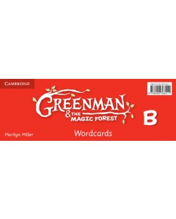 Greenman and the Magic Forest B Wordcards (Pack of 48)