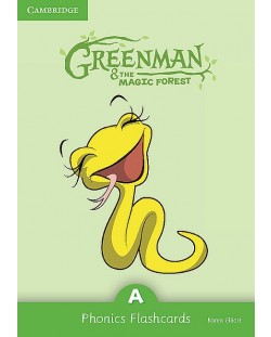Greenman and the Magic Forest A Phonics Flashcards (Pack of 38)