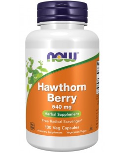 Hawthorn Berry, 100 капсули, Now