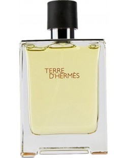 Hermes Terre d'Hermès Тоалетна вода, 100 ml