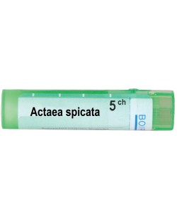 Actaea spicata 5CH, Boiron